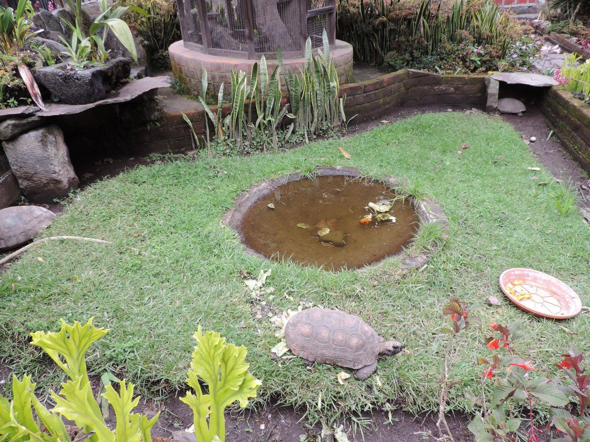 Jardines De Chamana Inn 3*
